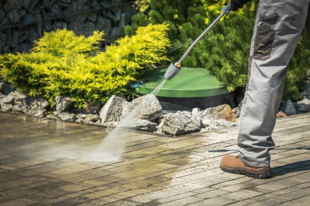 Best Soft Washing for Delicate Surfaces in Albertville, MN