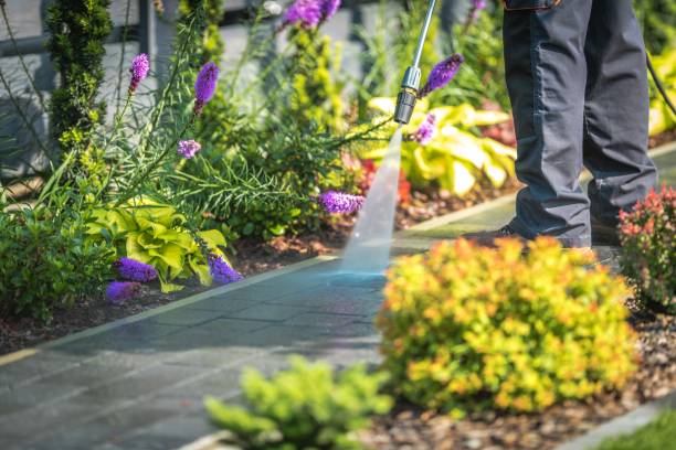 Best Sidewalk and Walkway Pressure Cleaning in Albertville, MN
