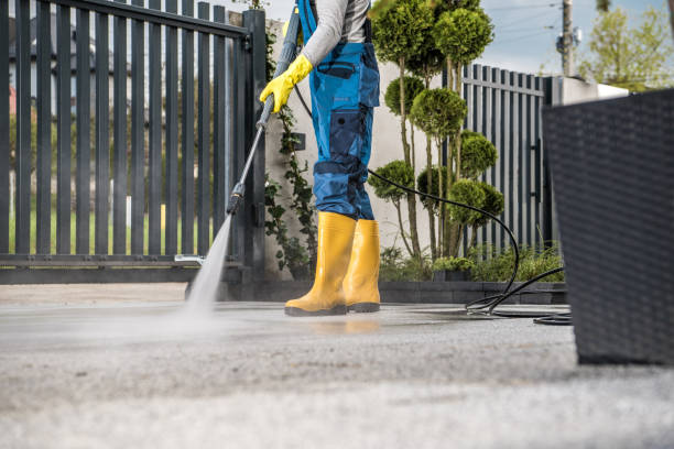 Trusted Albertville, MN Pressure Washing Services Experts