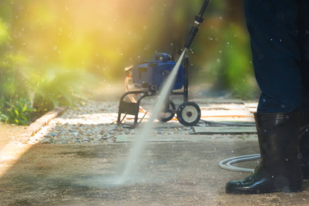 Best Brick and Stone Cleaning in Albertville, MN